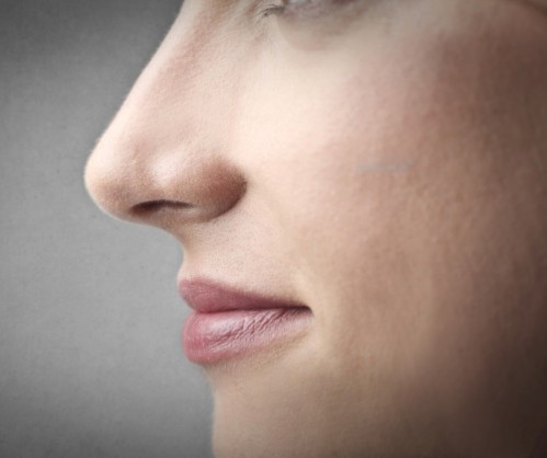 Punta Nasa Cirugía Rinoplastia Quito Dr. Efraín López